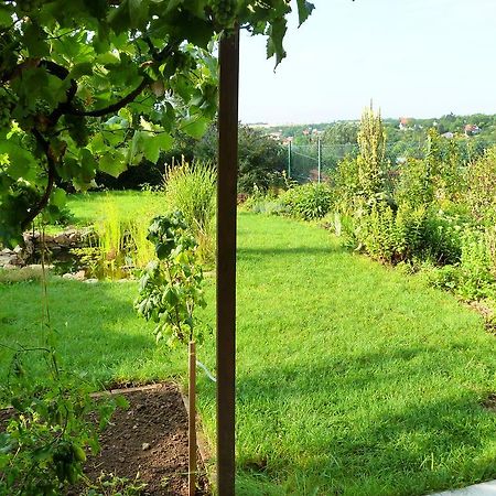 Ubytovani Vinohrady 73 Znojmo Exteriör bild