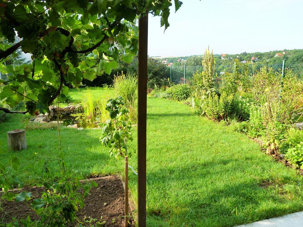 Ubytovani Vinohrady 73 Znojmo Exteriör bild